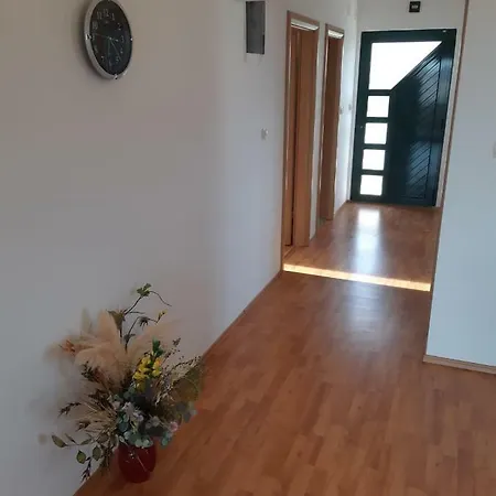 Skerlep Apartment